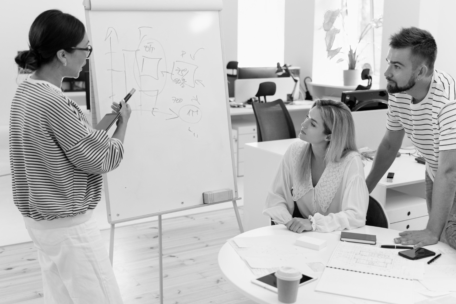 Nätverk och samarbete